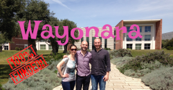 Wayonara equity crowdfunding tipventures finanziata