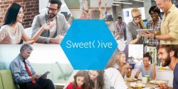 Sweethive cerca 75k equity crowdfunding su Crowdfundme