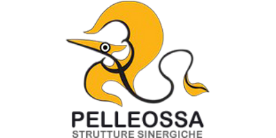 Pelleossa