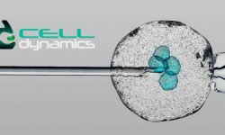 Celldynamics raccoglie 200k in poche ore equuity crowdfunding backtowork24