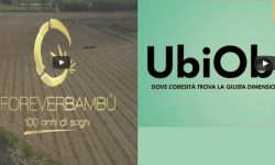 UbiObe e Forever Bambù equity crowdfunding Opstart e BacktoWork24
