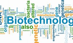 Biotechnology italia equity crowdfunding