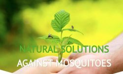 Biovecblok startup bio raccoglie 500k equity crowdfunding