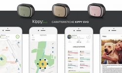 Kippy round equity crowdfunding sopra 1 milione