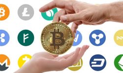 Blockchain iniziano ad emergere i vincitori del mondo cripto