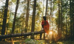 LifeGate lancia campagna equity crowdfunding su Mamacrowd