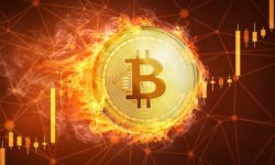 Bitcoin stabilizza la sua crescita e diventa il nuovo oro