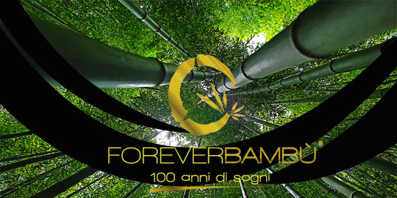 forever bambù